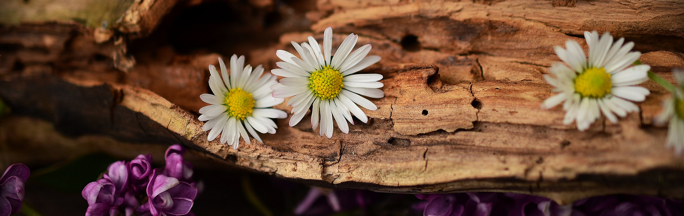 Holz und Blumen